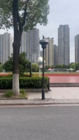 甜甜爱睡觉的照片