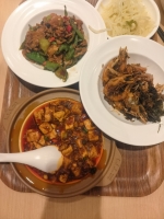 苦涩果果的照片