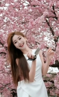 小百合的照片