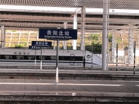 a杜杜的照片