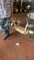 甜甜爱睡觉的照片