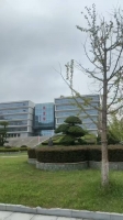 椒香香公主的照片