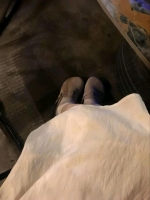 小黄吃饱了的照片