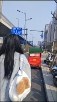 宿雾的照片