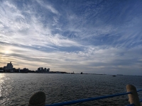 夕阳流水的照片