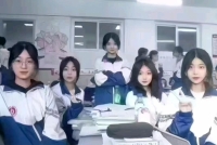 三叶草花絮的照片