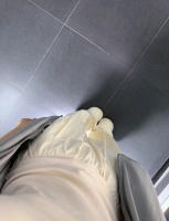 痴鱼的照片