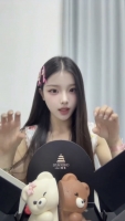 小海豚的照片
