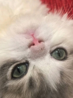 阿喜的照片
