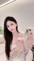婉婉茶艺的照片