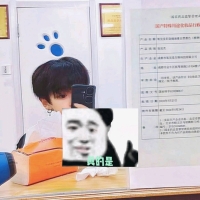 不爱吃海带的照片