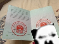 小妮妮呢的照片