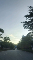 乖淼淼的照片