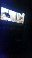 烟雨凉城的照片