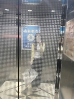 真实御姐的照片