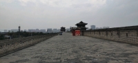 或或的照片