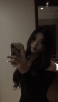 小海豚的照片