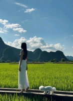 桃之夭夭吖的照片