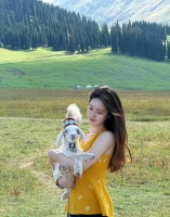 是什么的照片