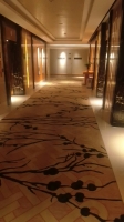 胖嘟嘟的照片