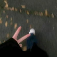 xxx晚晚的照片