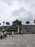 波妞儿的照片