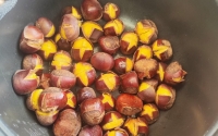 青衣的照片