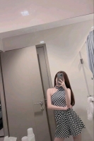 不吃萝卜的兔子的照片