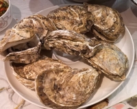 大猋的照片