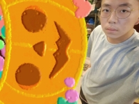 林木色的照片
