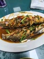 活力无限的照片