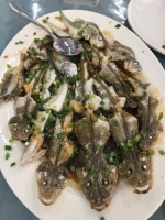 活力无限的照片