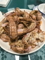 活力无限的照片