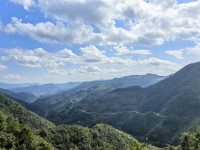 野兽永动机的照片