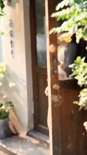小百合的照片