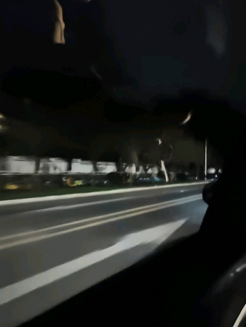 沐木兮兮的照片
