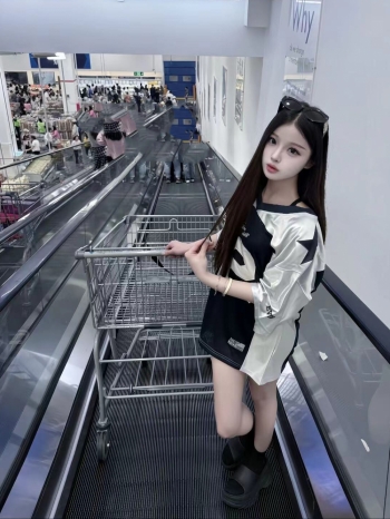 小海豚的照片