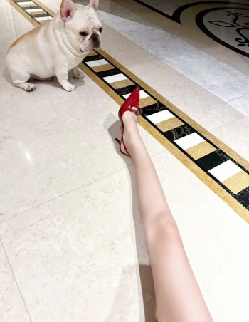 奢雅的照片