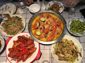 画眉0102的照片