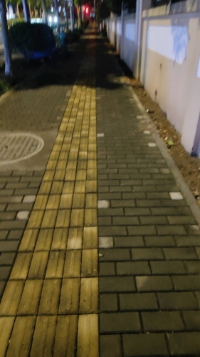 李欣的照片
