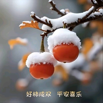 月月o的照片