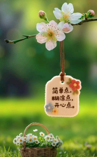 草莓55的照片