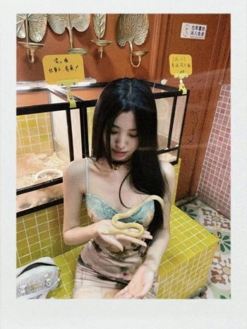 山城百合花的照片