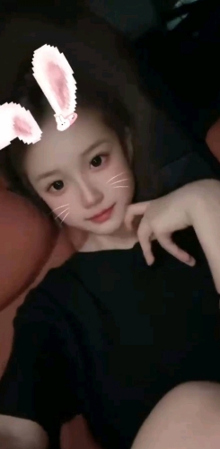傲娇的小猫咪的照片