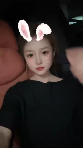 傲娇的小猫咪的照片