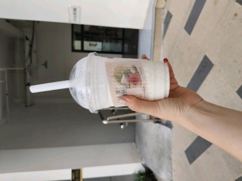 可爱圆圆的照片