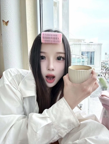 小海豚的照片