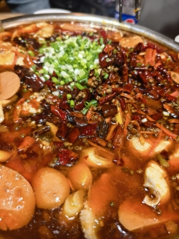 狐狸糊涂的照片