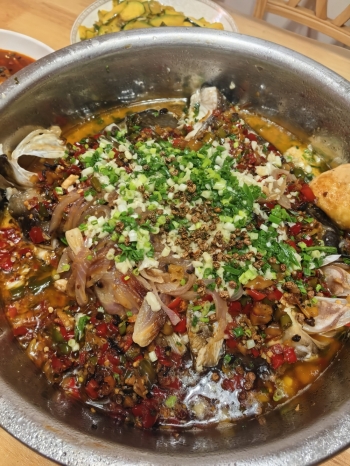 狐狸糊涂的照片