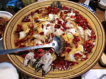 冰咖啡的照片